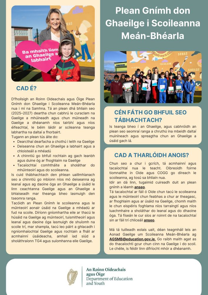 action plan for irish in english medium schools 1 images 0