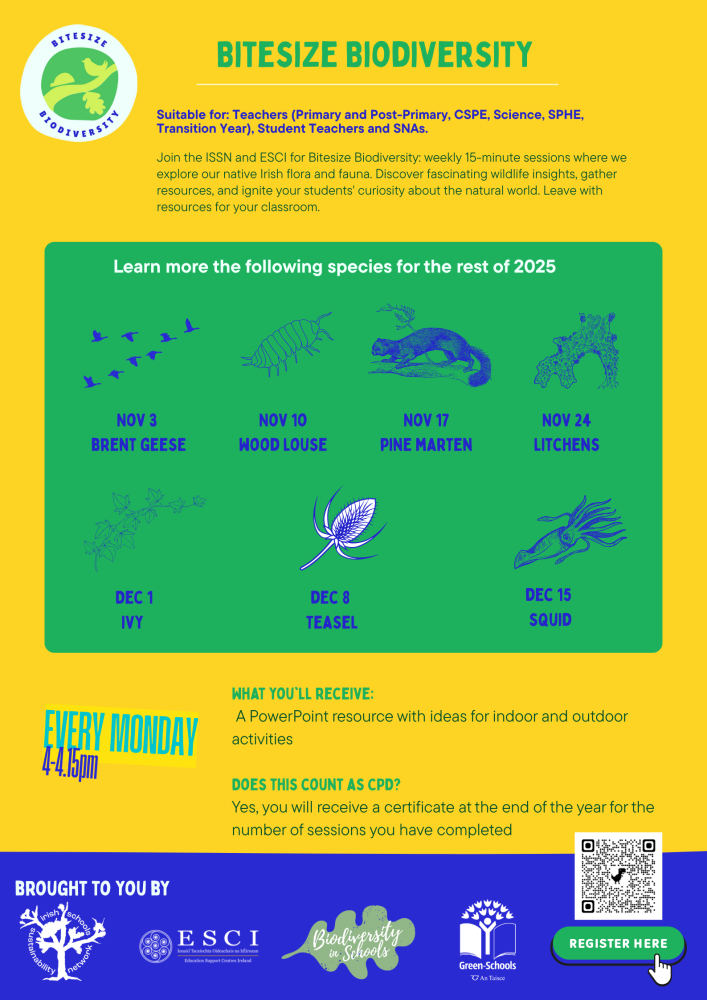 bitesize poster 1 1 1