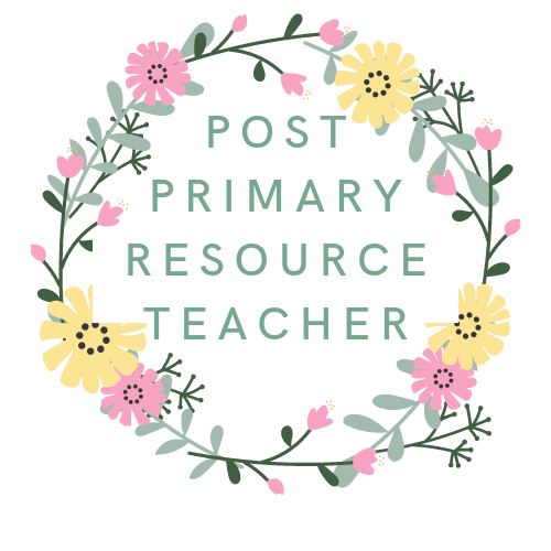 A Beginner's Guide to Planning Post Primary SET Classes
