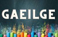 Measúnú agus Diagnóisic Litearthachta don Iarbhunscoil (PP)