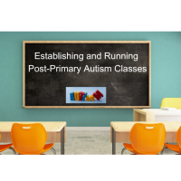 Establishing and Running Post-Primary Autism Classes (PP)