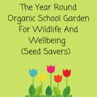 The Year Round Organic School Garden For Wildlife And Wellbeing (Seed Savers)  -  Summer Course 2022